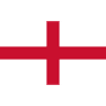 Harry Kane crest